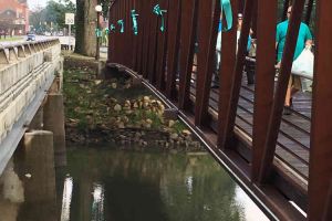 Blissfield Michigan Ribbons On Walking Bridge