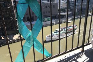 Chicago IL Teal Lights Ribbon Fence River