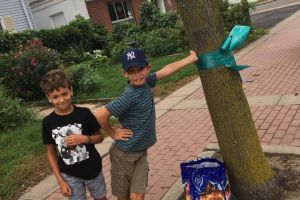 Edison NJ Boys Tealing Tree