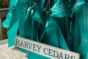 Harvey-Cedars-07