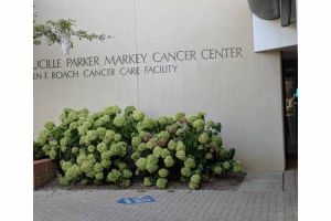 Lexington-UK-College-of-Pharmacy-07