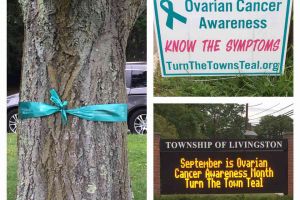 Livingston New Jersey Teal Sign Ribbon Announcement
