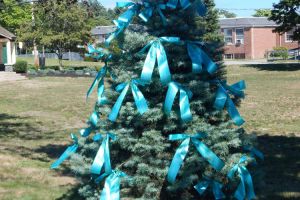 Pembroke MA Evergreen Teal Ribbons Sign