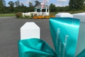 Princetown Ny Teal Ribbon Fence