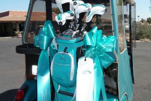 Sun City AZ Teal Golf Clubs