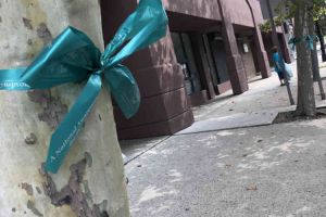 Trenton New Jersey Tree With Teal Ribbon