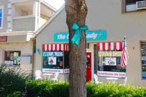 Washingtonville New York Teal Ribbon On Tree