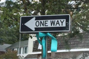 Washingtonville New York Teal Ribbon Street Sign