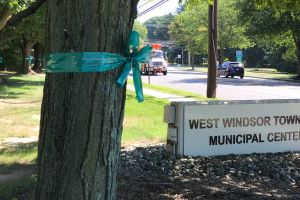 West Windsor NJ Tealed Tree