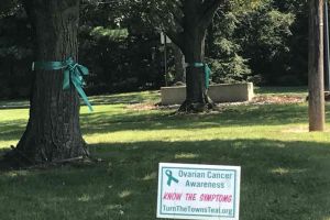 West Windsor New Jersey Sign Ribbons Tied On Trees
